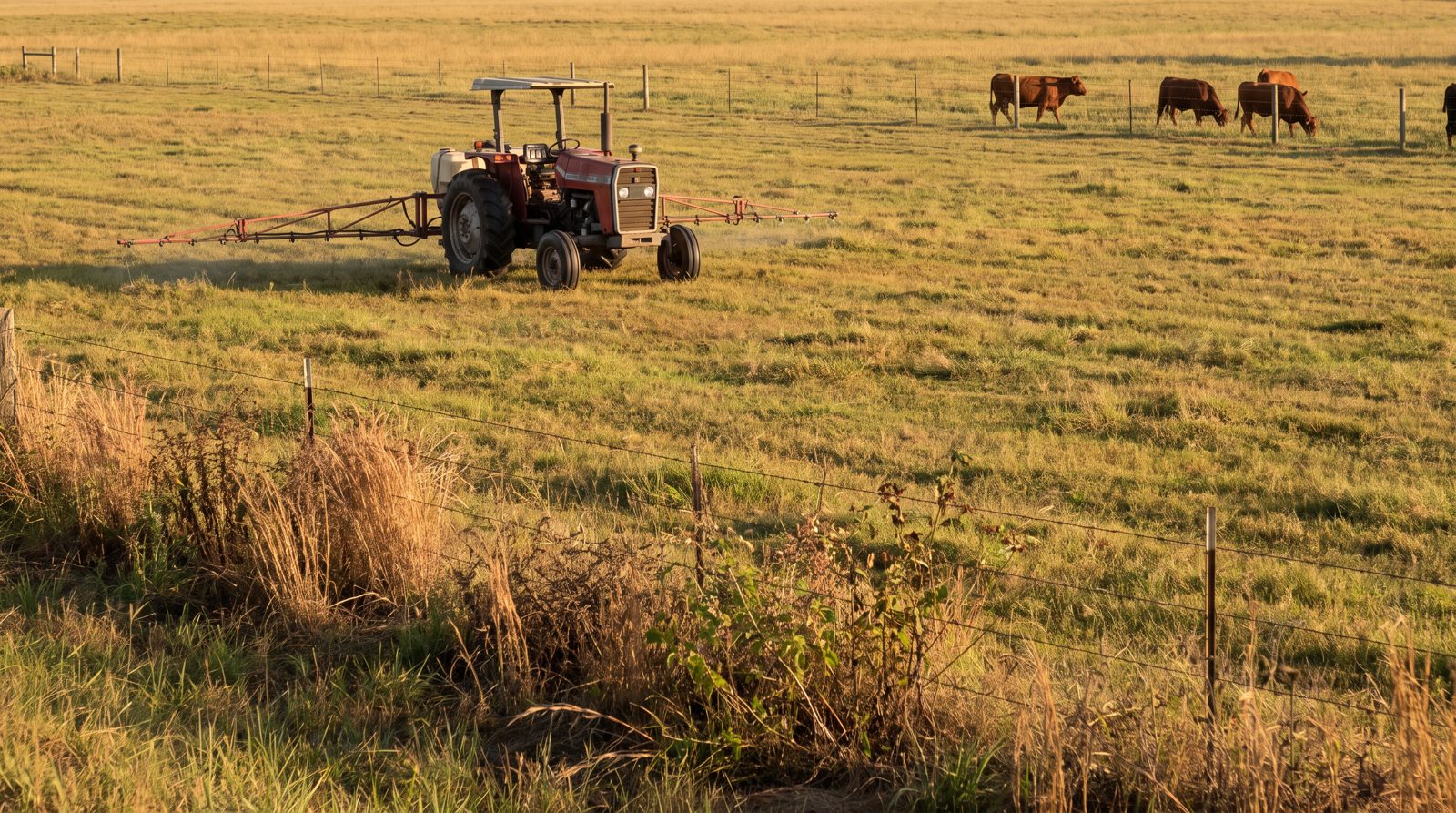 Can You Use Liquid Lime on Pasture? What Works and When