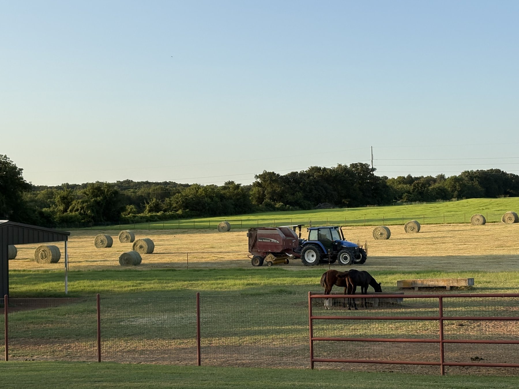 Baler rolling round bales on the Whitesboro test field at first-cutting harvest