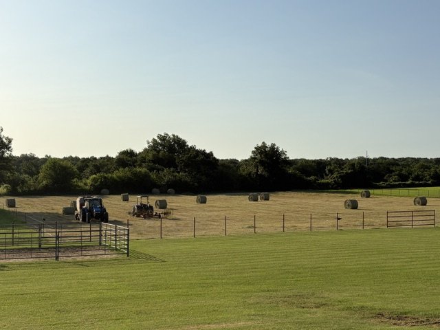 The Whitesboro test field at first-cutting harvest with round bales across it