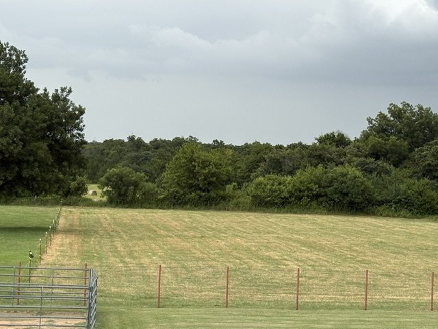 The field under the cool, overcast pattern that held through late spring