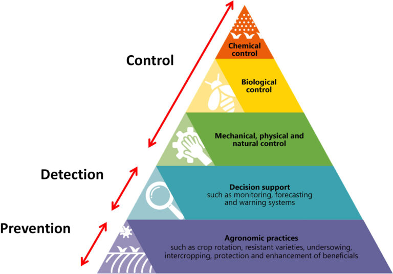 Pyramid visualizing the steps that farmers should take when implementing IPM processes.