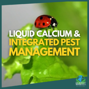 Liquid Calcium & Integrated Pest Management; image features a ladybug sitting atop a leaf