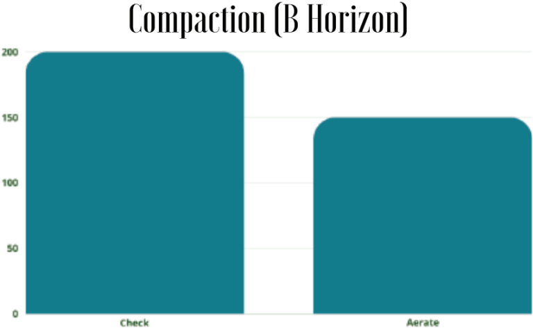 Compaction B Horizon